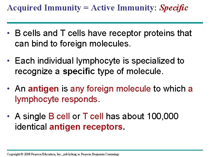 Acquired Immunity = Active Immunity: Specific • B cells and T cells have receptor