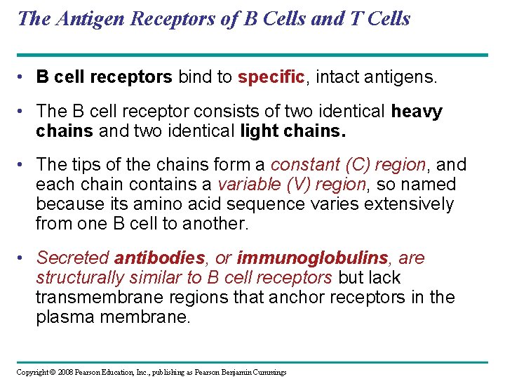 The Antigen Receptors of B Cells and T Cells • B cell receptors bind