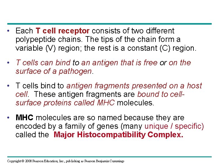  • Each T cell receptor consists of two different polypeptide chains. The tips