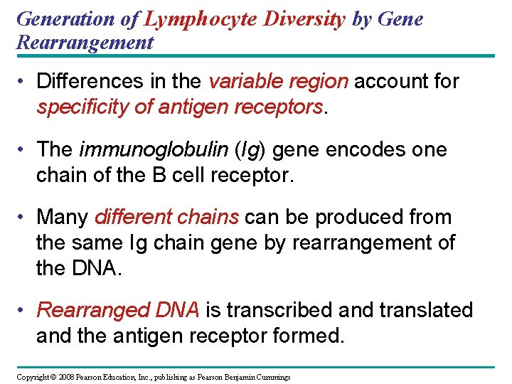 Generation of Lymphocyte Diversity by Gene Rearrangement • Differences in the variable region account