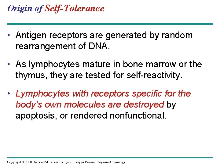 Origin of Self-Tolerance • Antigen receptors are generated by random rearrangement of DNA. •