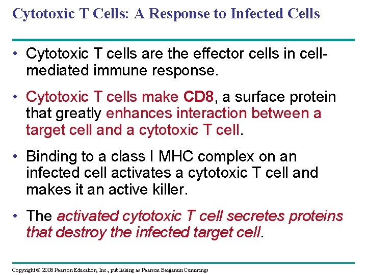 Cytotoxic T Cells: A Response to Infected Cells • Cytotoxic T cells are the