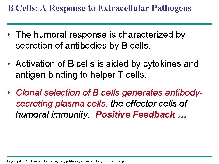 B Cells: A Response to Extracellular Pathogens • The humoral response is characterized by