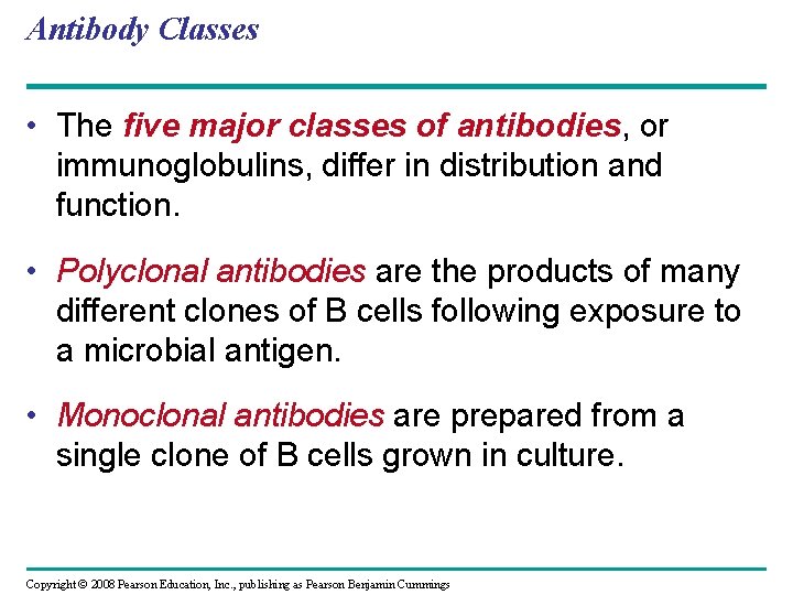 Antibody Classes • The five major classes of antibodies, or immunoglobulins, differ in distribution