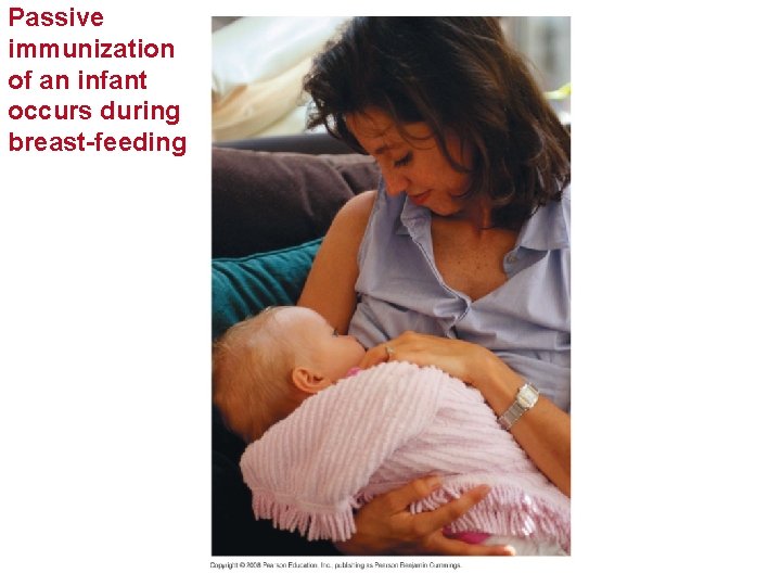 Passive immunization of an infant occurs during breast-feeding 