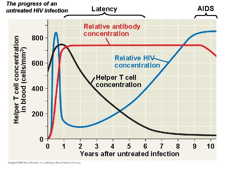 Helper T cell concentration in blood (cells/mm 3) The progress of an untreated HIV