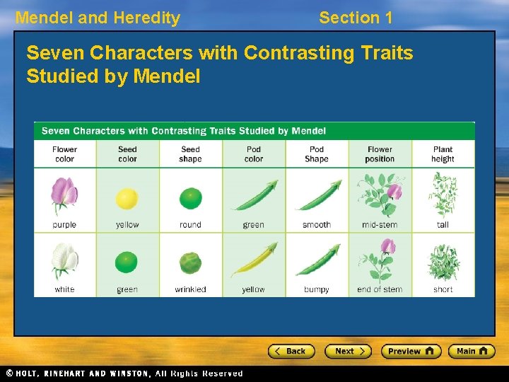 Mendel and Heredity Section 1 Seven Characters with Contrasting Traits Studied by Mendel 