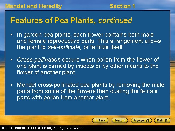 Mendel and Heredity Section 1 Features of Pea Plants, continued • In garden pea