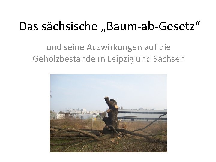 Das sächsische „Baum-ab-Gesetz“ und seine Auswirkungen auf die Gehölzbestände in Leipzig und Sachsen 