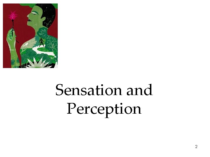 Sensation and Perception 2 