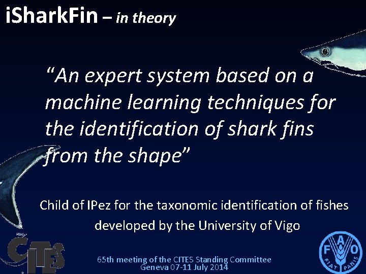 i. Shark. Fin – in theory “An expert system based on a machine learning i. Shark. Fin – in theory “An expert system based on a machine learning