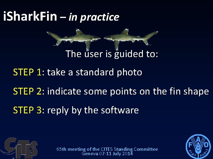 i. Shark. Fin – in practice The user is guided to: STEP 1: take i. Shark. Fin – in practice The user is guided to: STEP 1: take