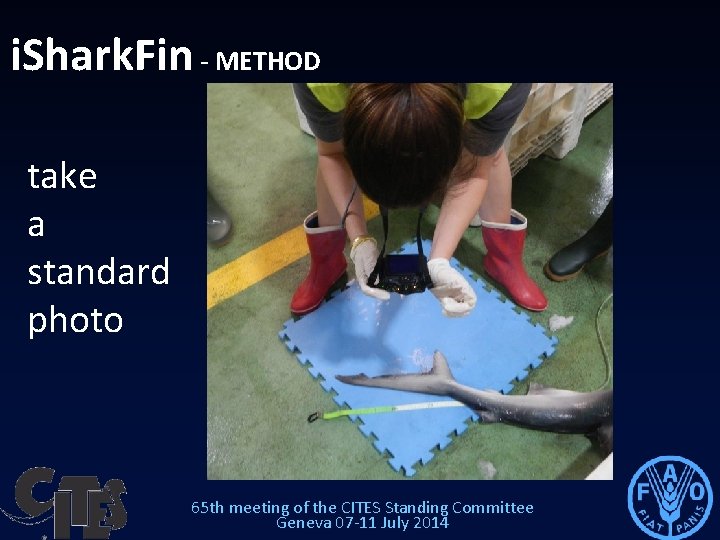 i. Shark. Fin - METHOD take a standard photo 65 th meeting of the i. Shark. Fin - METHOD take a standard photo 65 th meeting of the
