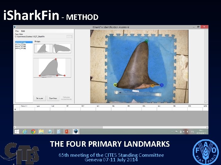 i. Shark. Fin - METHOD THE FOUR PRIMARY LANDMARKS 65 th meeting of the i. Shark. Fin - METHOD THE FOUR PRIMARY LANDMARKS 65 th meeting of the