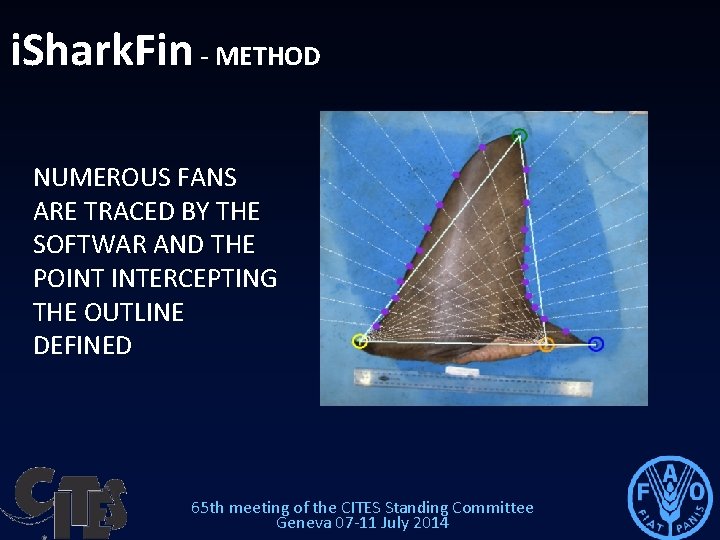 i. Shark. Fin - METHOD NUMEROUS FANS ARE TRACED BY THE SOFTWAR AND THE i. Shark. Fin - METHOD NUMEROUS FANS ARE TRACED BY THE SOFTWAR AND THE