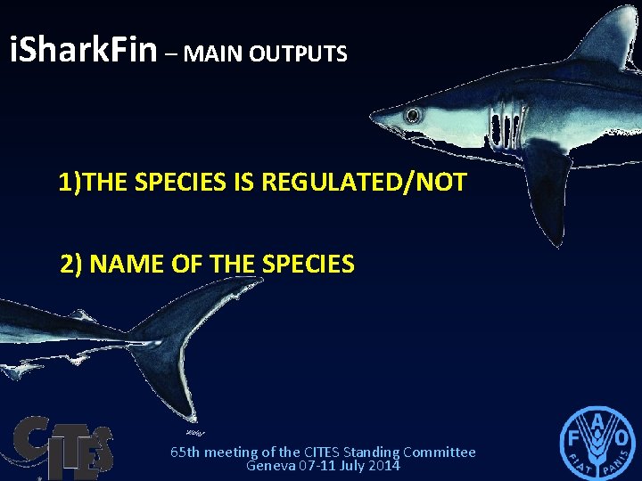 i. Shark. Fin – MAIN OUTPUTS 1)THE SPECIES IS REGULATED/NOT 2) NAME OF THE i. Shark. Fin – MAIN OUTPUTS 1)THE SPECIES IS REGULATED/NOT 2) NAME OF THE