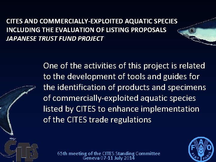 CITES AND COMMERCIALLY-EXPLOITED AQUATIC SPECIES INCLUDING THE EVALUATION OF LISTING PROPOSALS JAPANESE TRUST FUND CITES AND COMMERCIALLY-EXPLOITED AQUATIC SPECIES INCLUDING THE EVALUATION OF LISTING PROPOSALS JAPANESE TRUST FUND