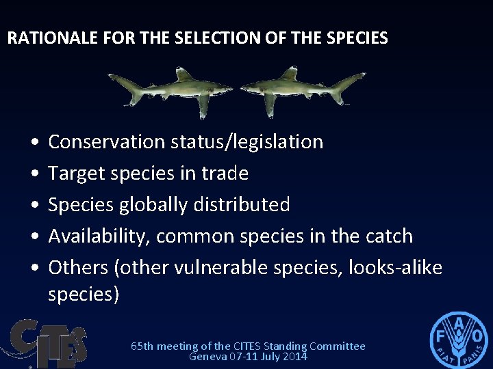 RATIONALE FOR THE SELECTION OF THE SPECIES • • • Conservation status/legislation Target species RATIONALE FOR THE SELECTION OF THE SPECIES • • • Conservation status/legislation Target species