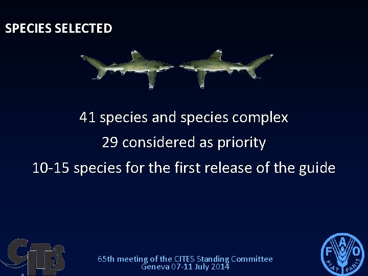 SPECIES SELECTED 41 species and species complex 29 considered as priority 10 -15 species SPECIES SELECTED 41 species and species complex 29 considered as priority 10 -15 species
