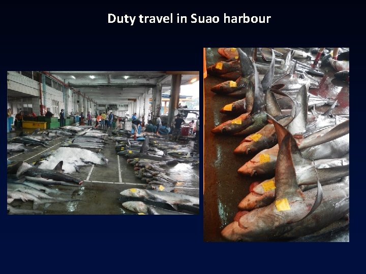 Duty travel in Suao harbour Duty travel in Suao harbour