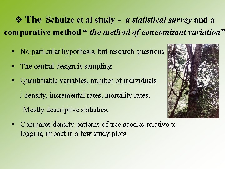  v The Schulze et al study - a statistical survey and a comparative