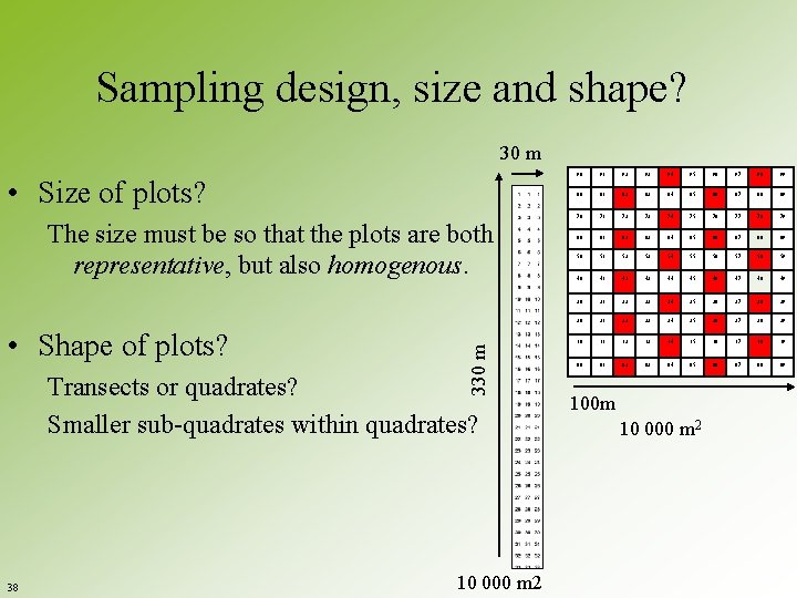Sampling design, size and shape? 30 m • Size of plots? • Shape of