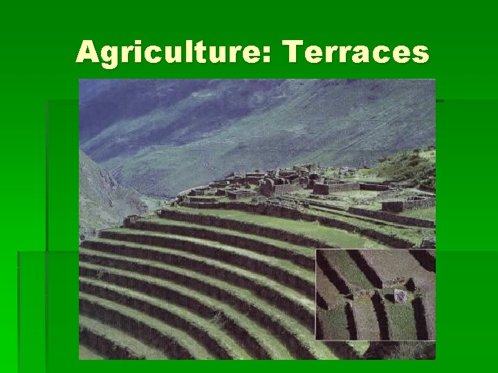 Agriculture: Terraces 