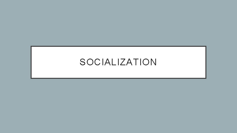 SOCIALIZATION 