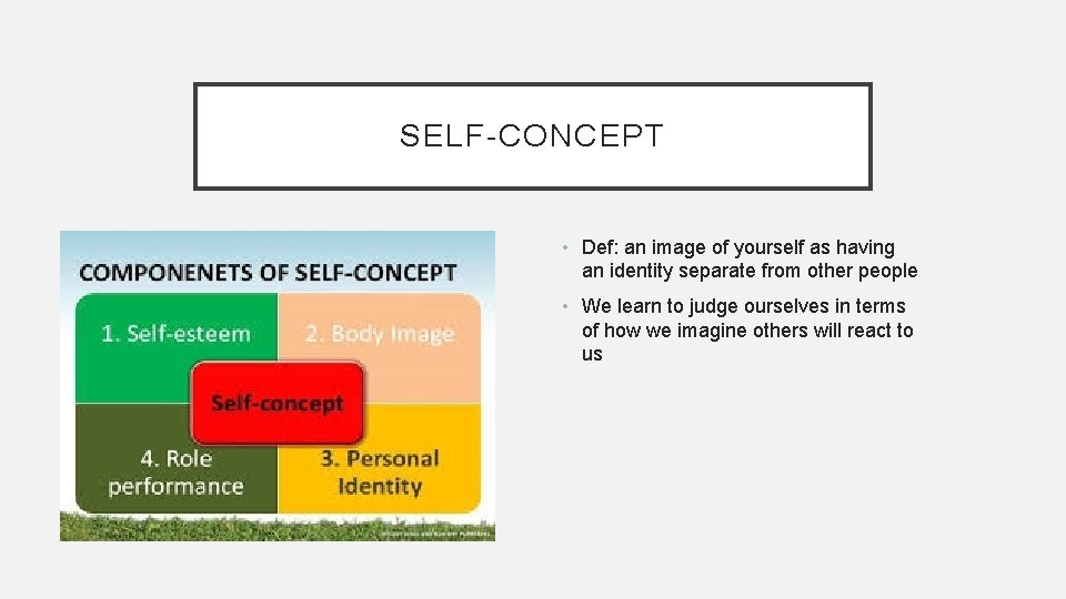 SELF-CONCEPT • Def: an image of yourself as having an identity separate from other