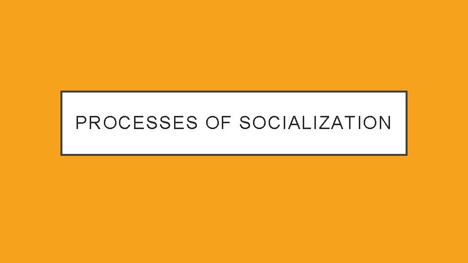 PROCESSES OF SOCIALIZATION 