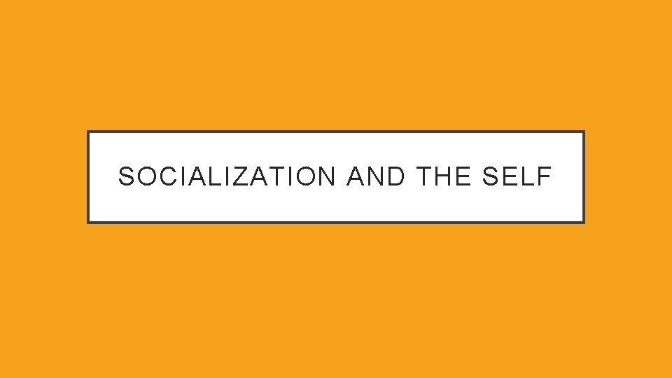 SOCIALIZATION AND THE SELF 