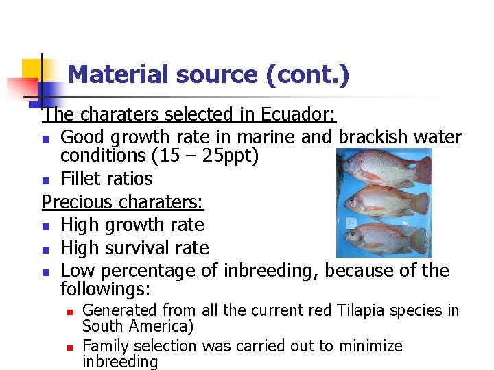 Material source (cont. ) The charaters selected in Ecuador: n Good growth rate in Material source (cont. ) The charaters selected in Ecuador: n Good growth rate in
