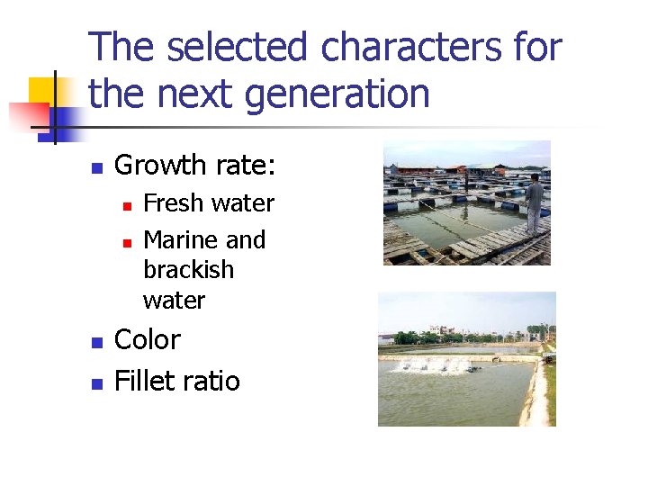 The selected characters for the next generation n Growth rate: n n Fresh water The selected characters for the next generation n Growth rate: n n Fresh water