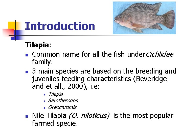 Introduction Tilapia: n Common name for all the fish under Cichlidae family. n 3 Introduction Tilapia: n Common name for all the fish under Cichlidae family. n 3