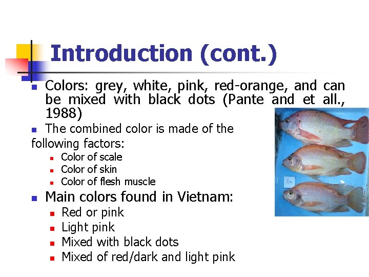 Introduction (cont. ) n Colors: grey, white, pink, red-orange, and can be mixed with Introduction (cont. ) n Colors: grey, white, pink, red-orange, and can be mixed with