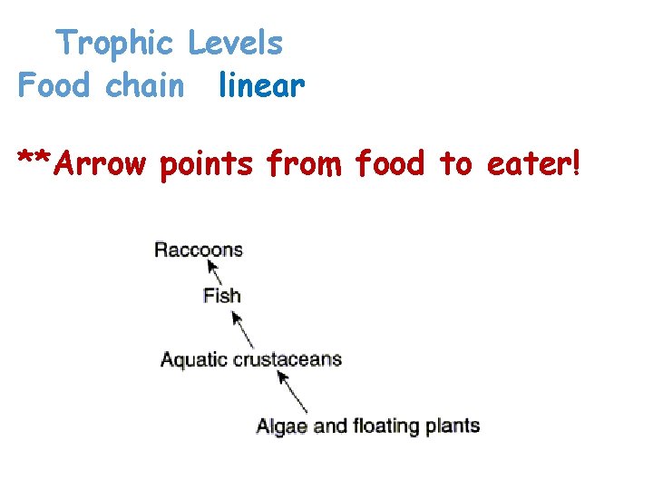 Trophic Levels Food chain- linear model of energy flow **Arrow points from food to Trophic Levels Food chain- linear model of energy flow **Arrow points from food to