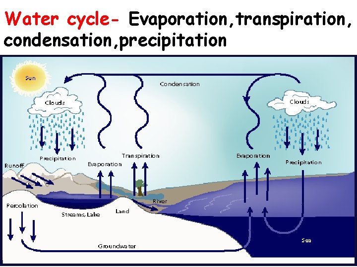 Water cycle- Evaporation, transpiration, condensation, precipitation Water cycle- Evaporation, transpiration, condensation, precipitation