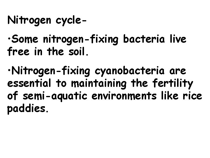 Nitrogen cycle- • Some nitrogen-fixing bacteria live free in the soil. • Nitrogen-fixing cyanobacteria Nitrogen cycle- • Some nitrogen-fixing bacteria live free in the soil. • Nitrogen-fixing cyanobacteria