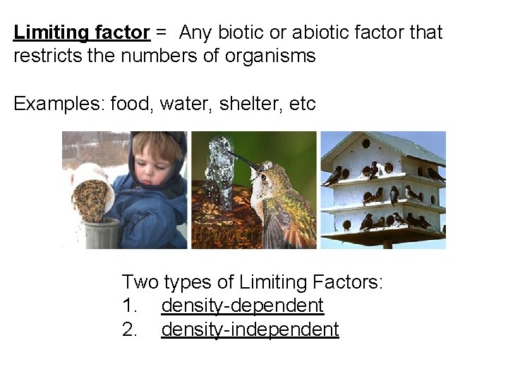 Limiting factor = Any biotic or abiotic factor that restricts the numbers of organisms Limiting factor = Any biotic or abiotic factor that restricts the numbers of organisms