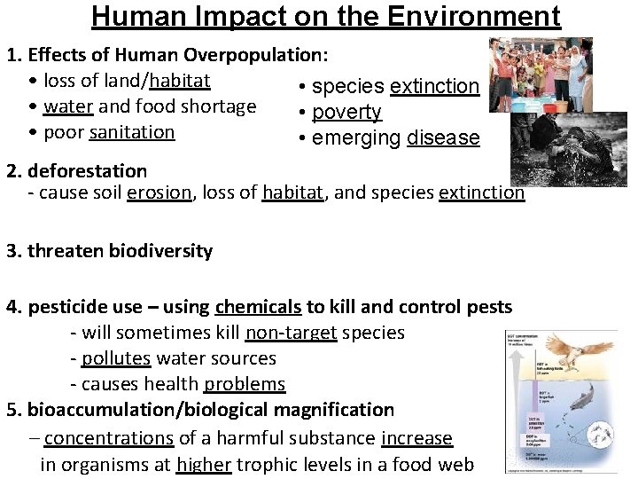Human Impact on the Environment 1. Effects of Human Overpopulation: • loss of land/habitat Human Impact on the Environment 1. Effects of Human Overpopulation: • loss of land/habitat