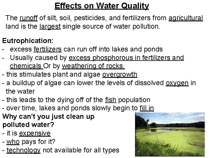 Effects on Water Quality The runoff of silt, soil, pesticides, and fertilizers from agricultural Effects on Water Quality The runoff of silt, soil, pesticides, and fertilizers from agricultural