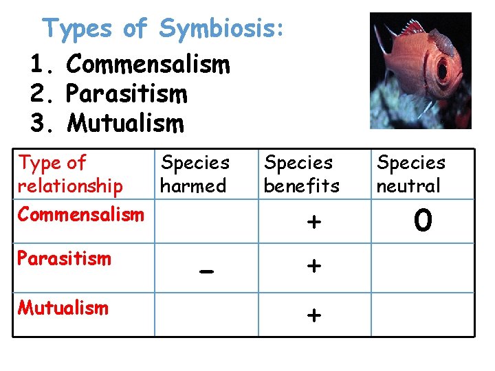 Types of Symbiosis: 1. Commensalism 2. Parasitism 3. Mutualism Type of Species relationship harmed Types of Symbiosis: 1. Commensalism 2. Parasitism 3. Mutualism Type of Species relationship harmed