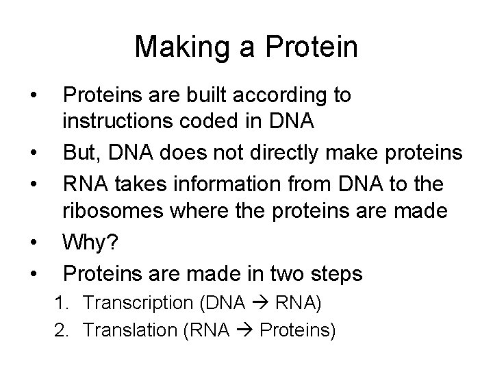 Making a Protein • • • Proteins are built according to instructions coded in