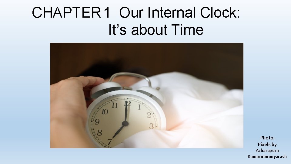 CHAPTER 1 Our Internal Clock: It’s about Time Photo: Pixels by Acharaporn Kamornboonyarush 