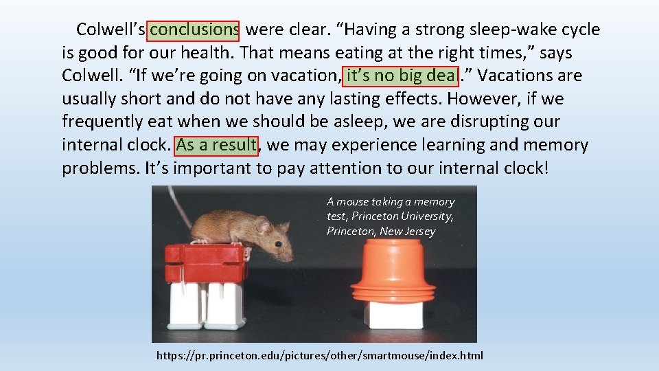 Colwell’s conclusions were clear. “Having a strong sleep-wake cycle is good for our health.