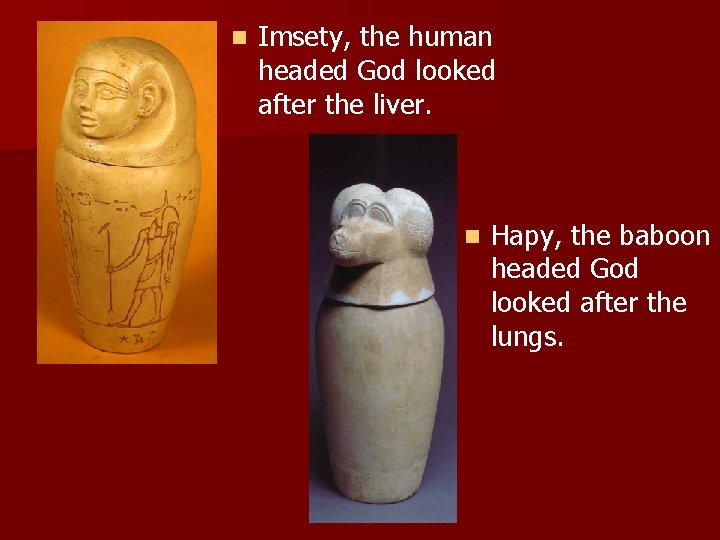 n Imsety, the human headed God looked after the liver. n Hapy, the baboon