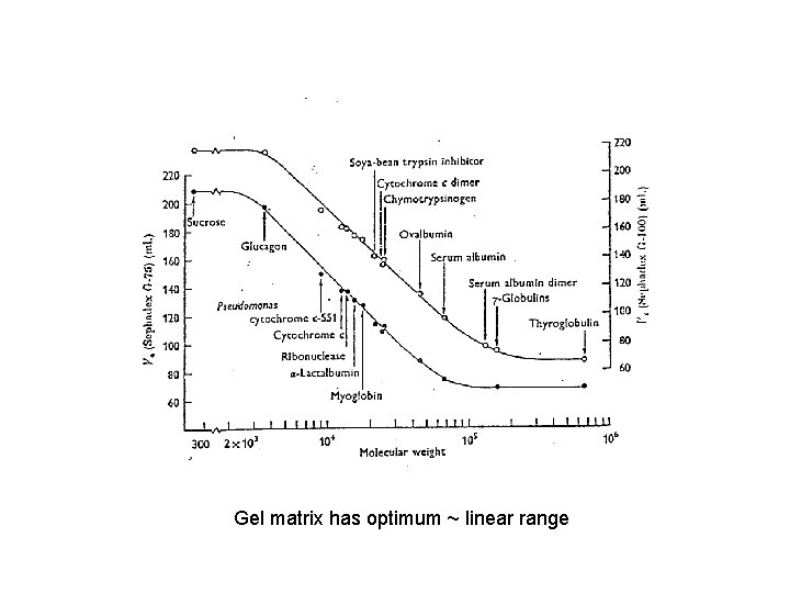 Gel matrix has optimum ~ linear range 