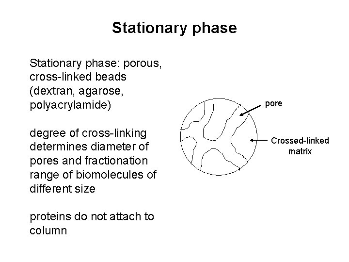 Stationary phase: porous, cross-linked beads (dextran, agarose, polyacrylamide) degree of cross-linking determines diameter of