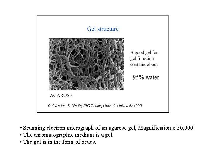Ref: Anders S. Medin, Ph. D Thesis, Uppsala University 1995 • Scanning electron micrograph