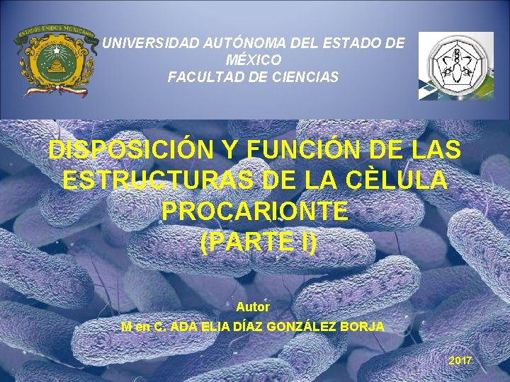 UNIVERSIDAD AUTÓNOMA DEL ESTADO DE MÉXICO FACULTAD DE CIENCIAS DISPOSICIÓN Y FUNCIÓN DE LAS